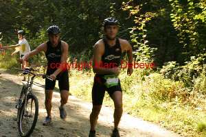 25310 photo